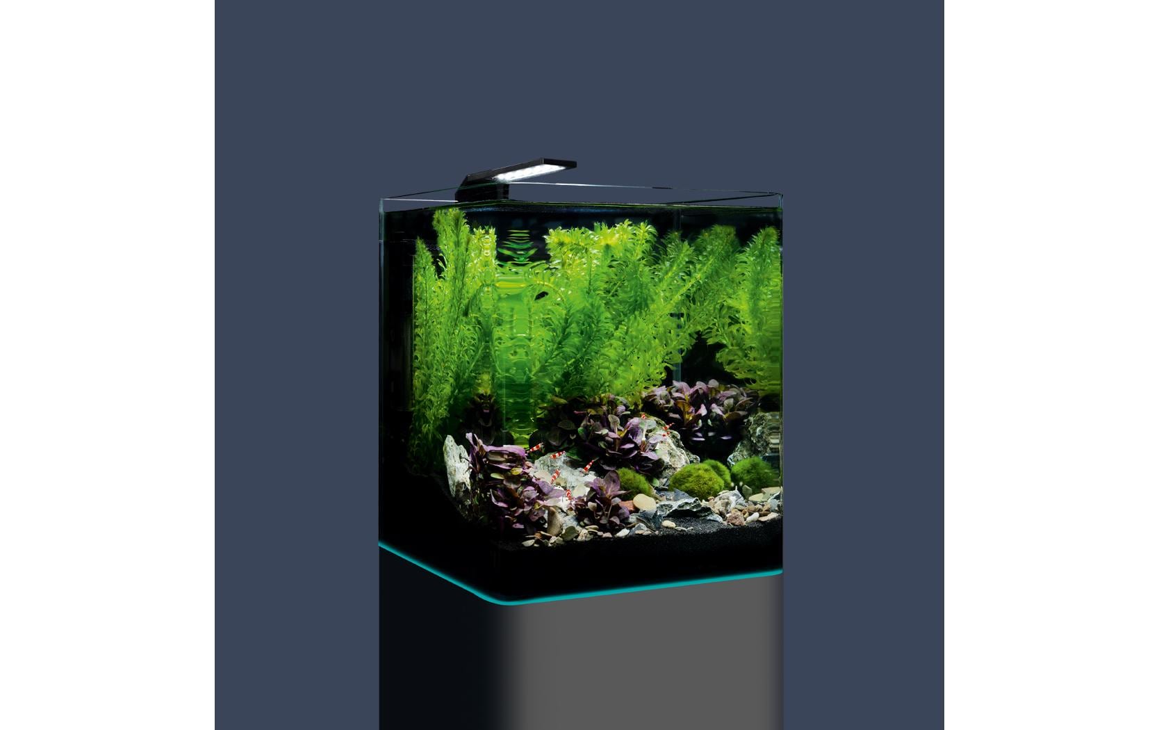Aquarium Nano Cube Complete, 20 l<br>Mini Aquarium Komplettset