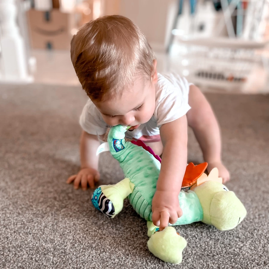playgro Sensory Friend Drache Dusty