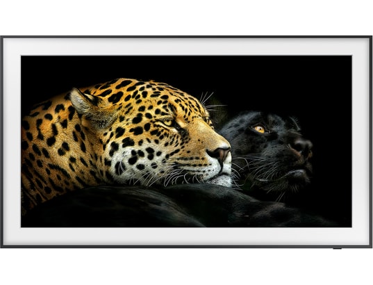 SAMSUNG - TV QLED 4K 125 cm QE50LS03A