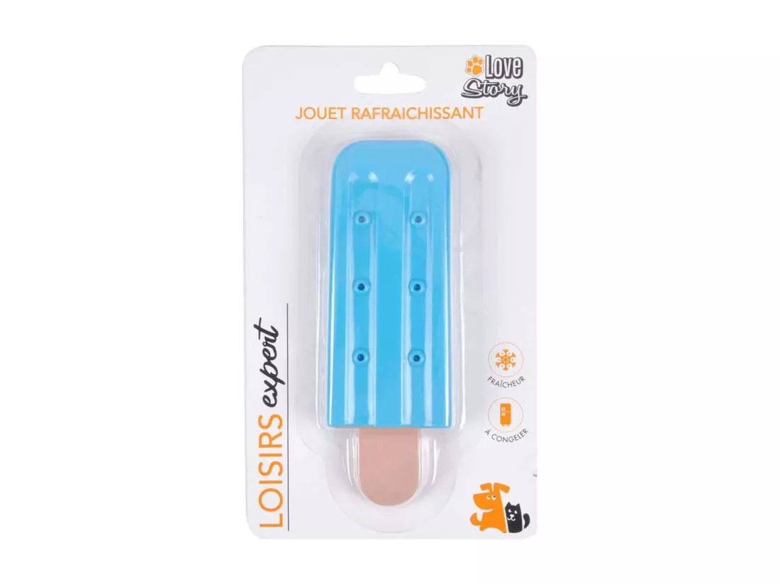 Jouet pour Chien 