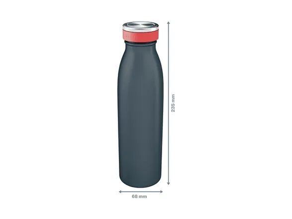 Drikkeflaske Leitz Cosy grå 500 ml
