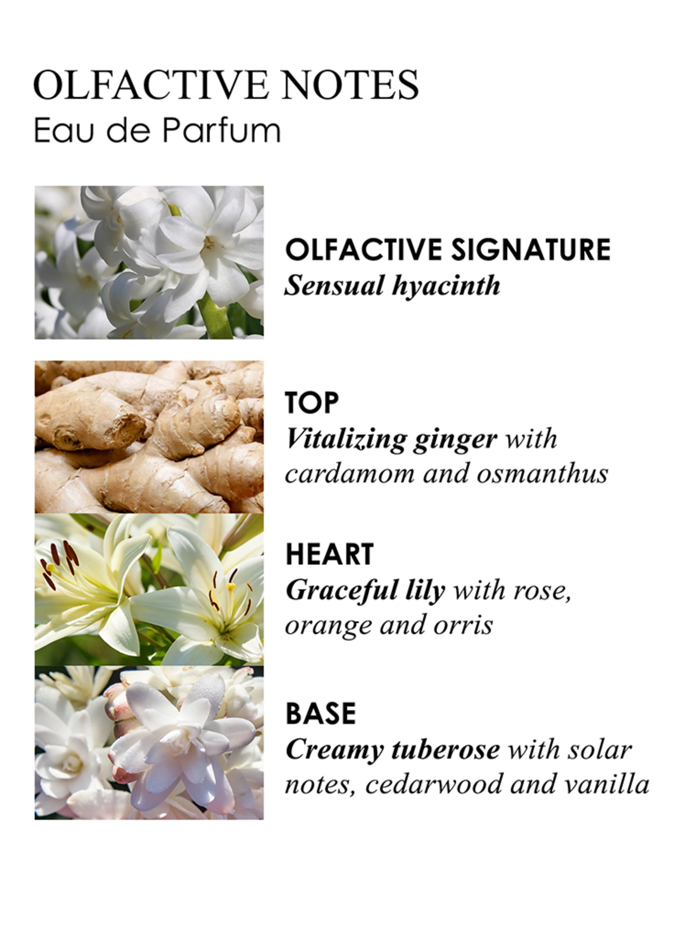 MOLTON BROWN HEAVENLY GINGERLILY