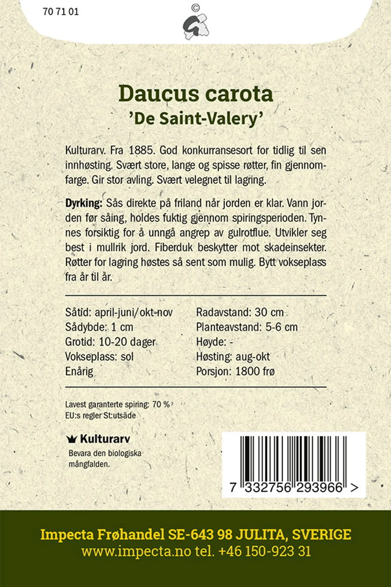 Daucus carota 'De Saint-Valery' Høstgulrot 'De Saint-Valery'