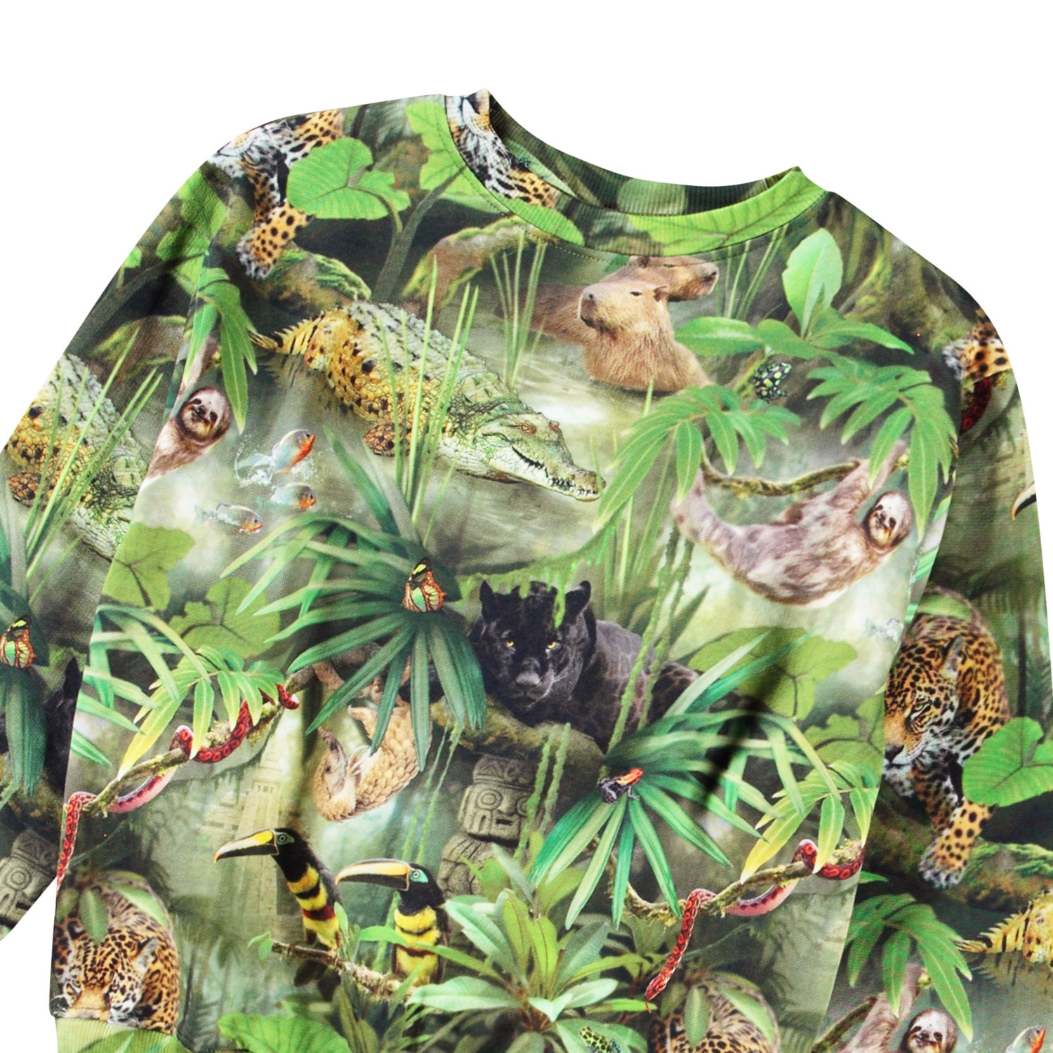 Mattis - Jungle Animals