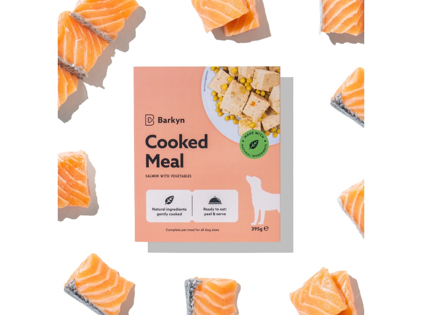 COMIDA HÚMIDA PARA CÃO BARKYN SALMÃO FRESCO E VEGETAIS 395G