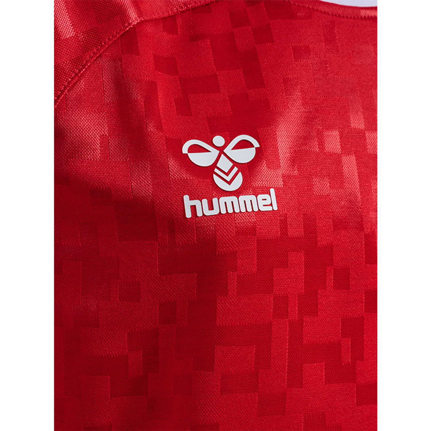 Hummel Denemarken Thuis Shirt Kids 2024/2026