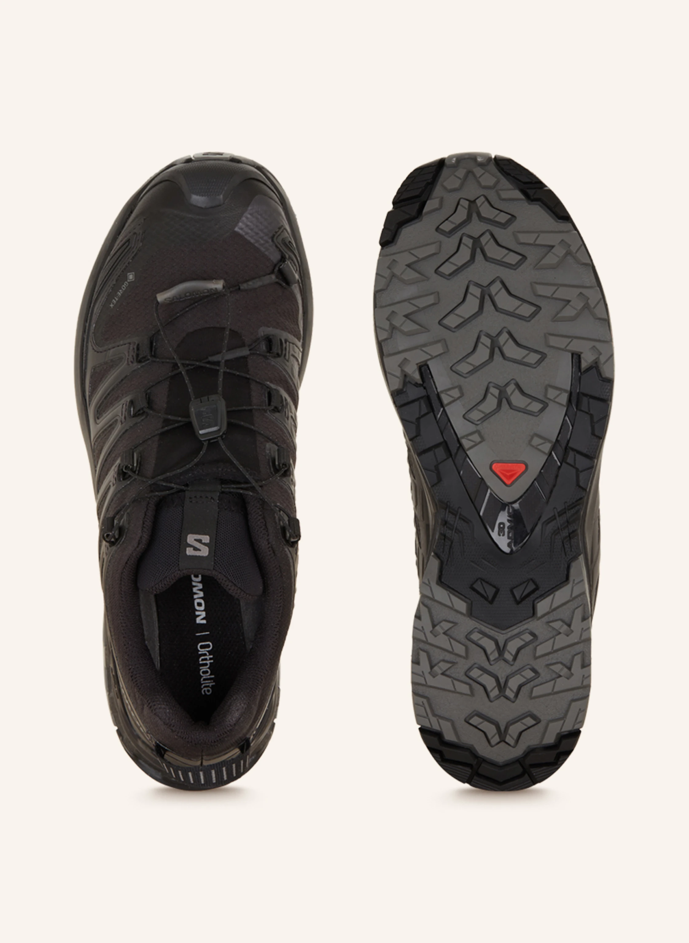 SALOMON Wanderschuhe XA PRO 3D V9 GTX