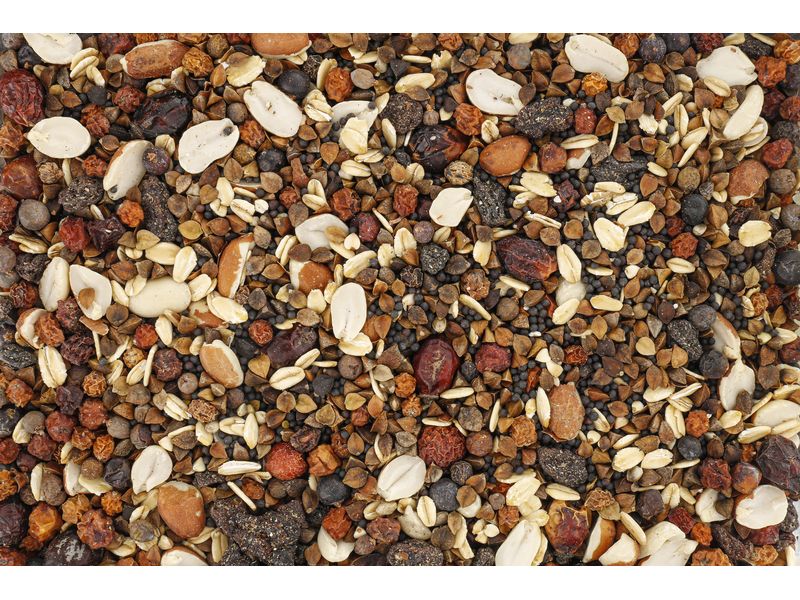 Eric Schweizer Vogelfutter Wildvogelmischung Quality 5 kg Mischung mit Hagebutten und leckeren Beeren