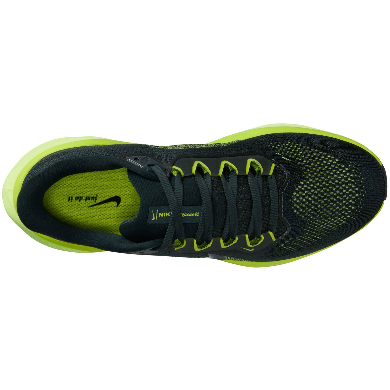 Nike Pegasus 41 Dames