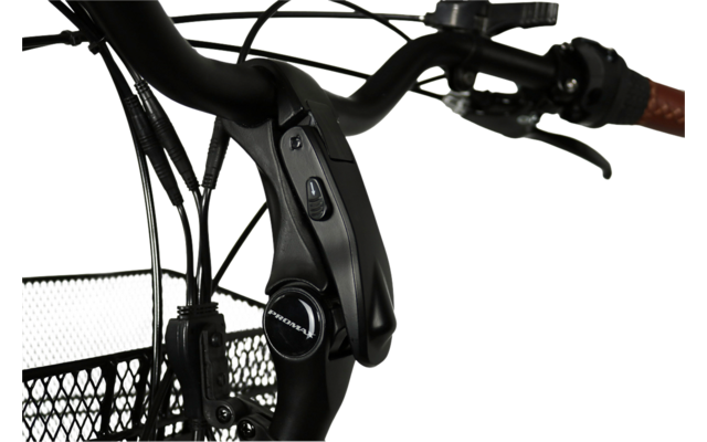 Blaupunkt E-Trike / E-Lastenrad Minna 20 Zoll 250W