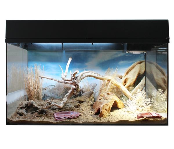 Lucky Reptile Starter Kit Komplettset