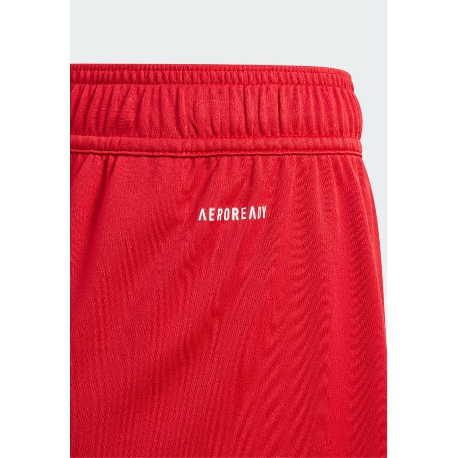 Adidas Short Fortore 23