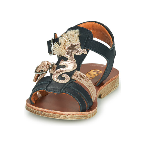 GBB - PALOMA - Marine