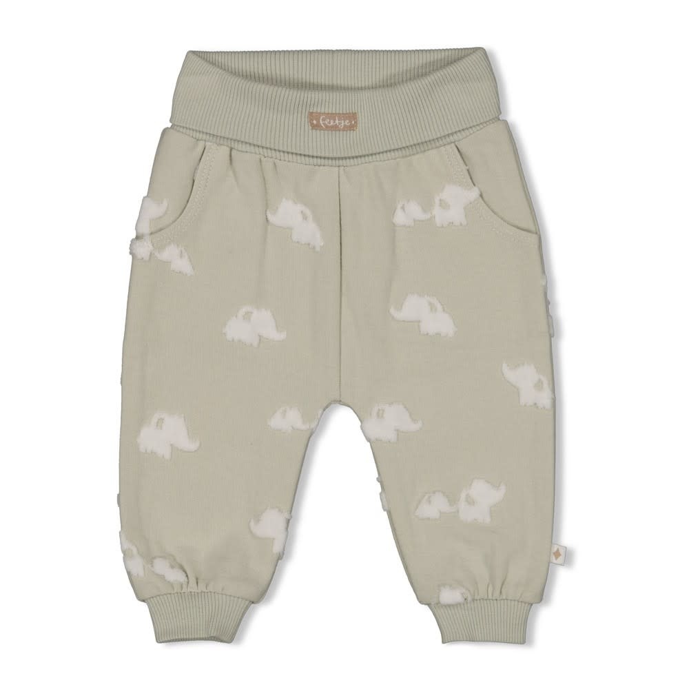 Feetje Feetje broek ao - Elephant mint