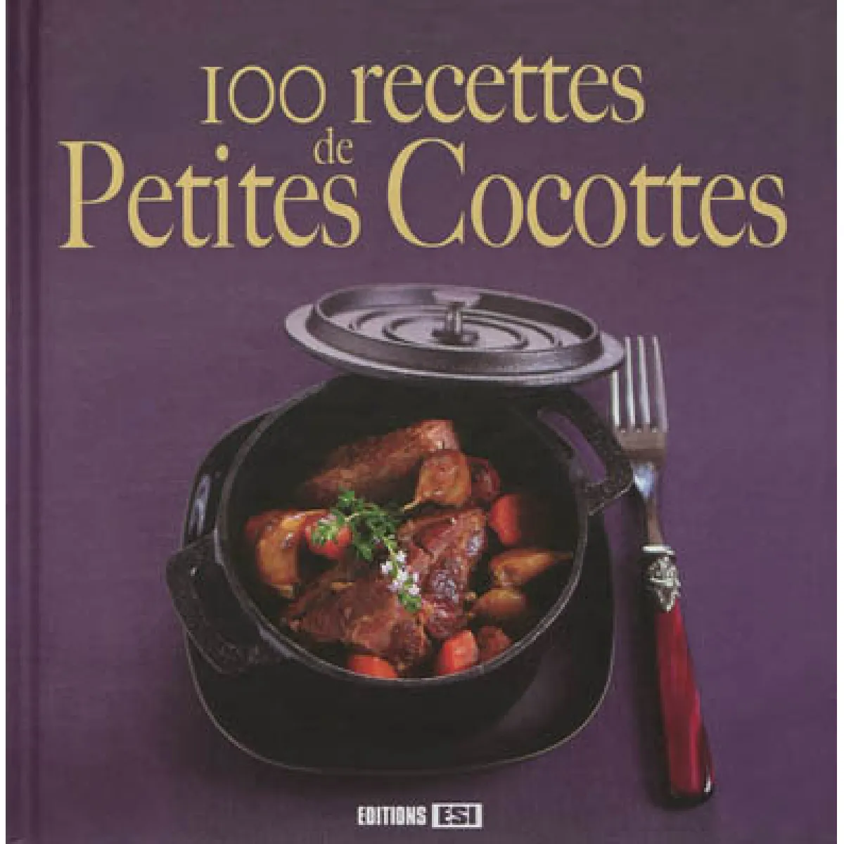 100 recettes de petites cocottes · Occasion