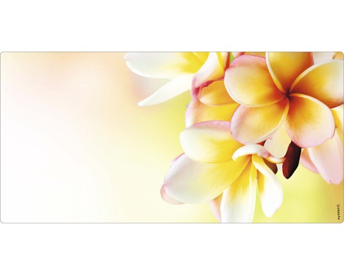 Badkamer achterwand mySPOTTI aqua Hawaii 90x45 cm