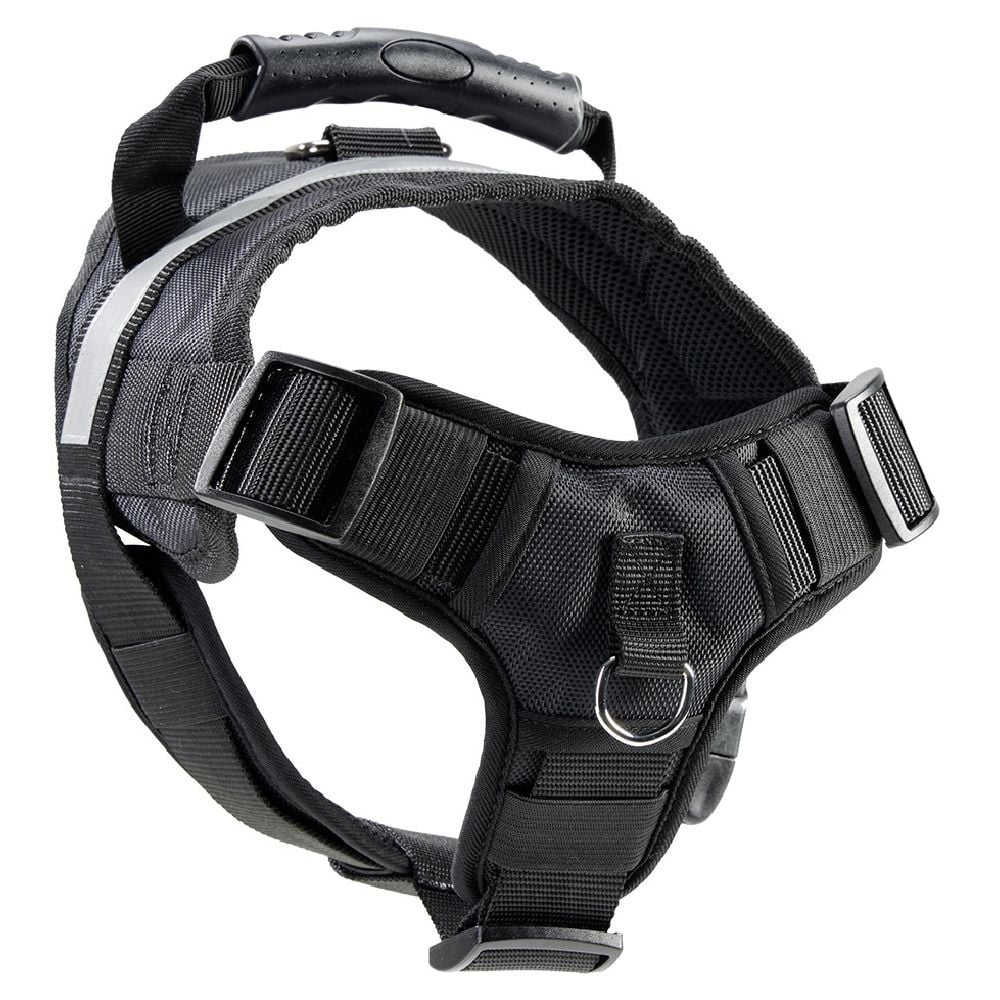 Harnais noir pour chien L81cm taille L