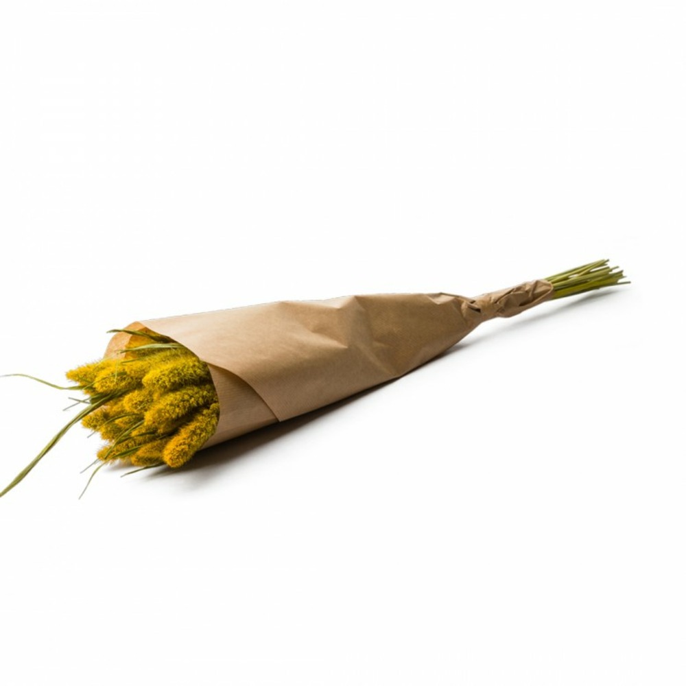 Botte de fleurs séchées setarea jaune