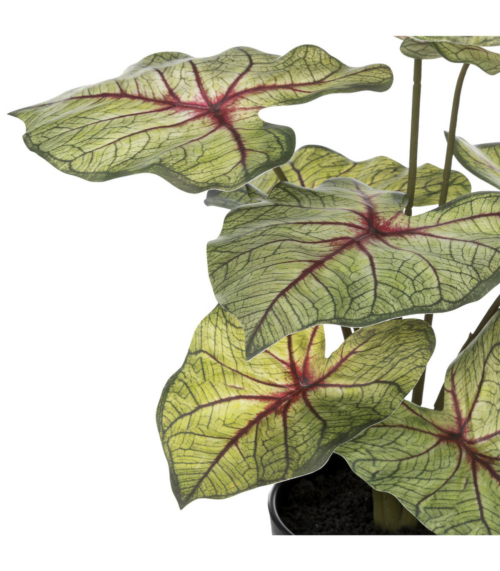 Plante artificielle caladium en pot d. 34 x h. 41 cm