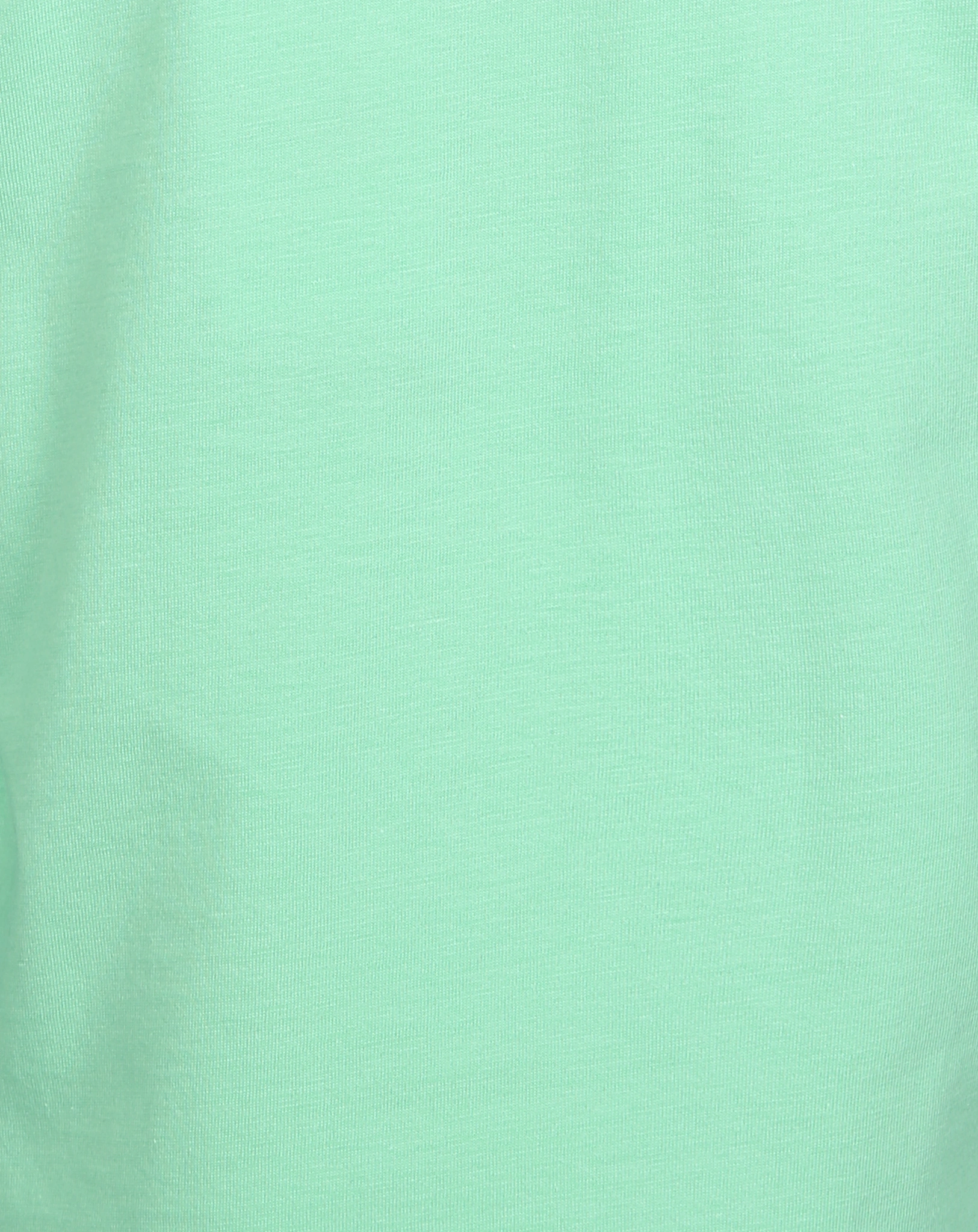 Langarmshirt REBEL SAURS in jade green