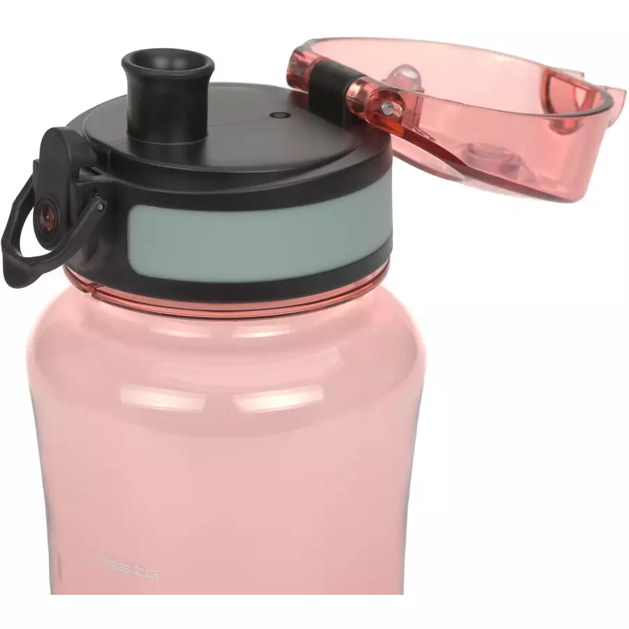 LÄSSIG Lunch-Set mit Brotdose und Trinkflasche 460 ml, About Friends Fox