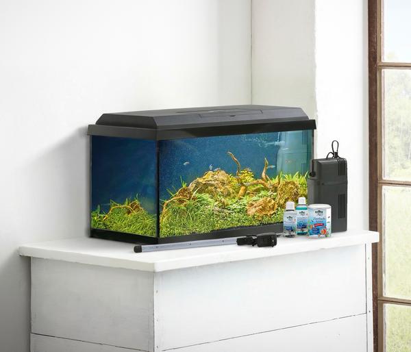 Dehner Aqua Aquarium-Set Aqua Start 60,