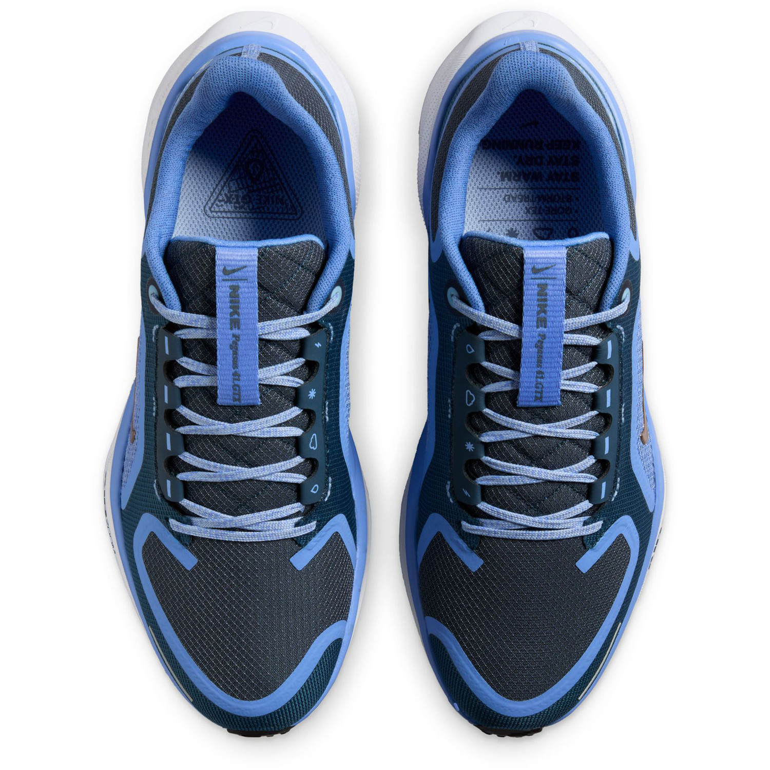 Nike Pegasus 41 GTX Dames