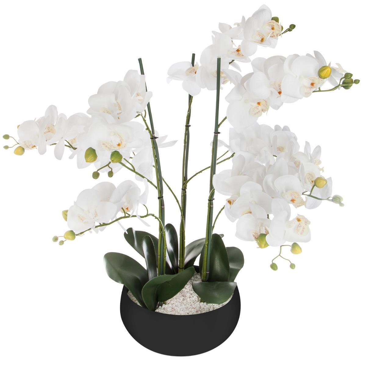 ORCHIDEE POT CERAMIQUE NOIR H.65CM