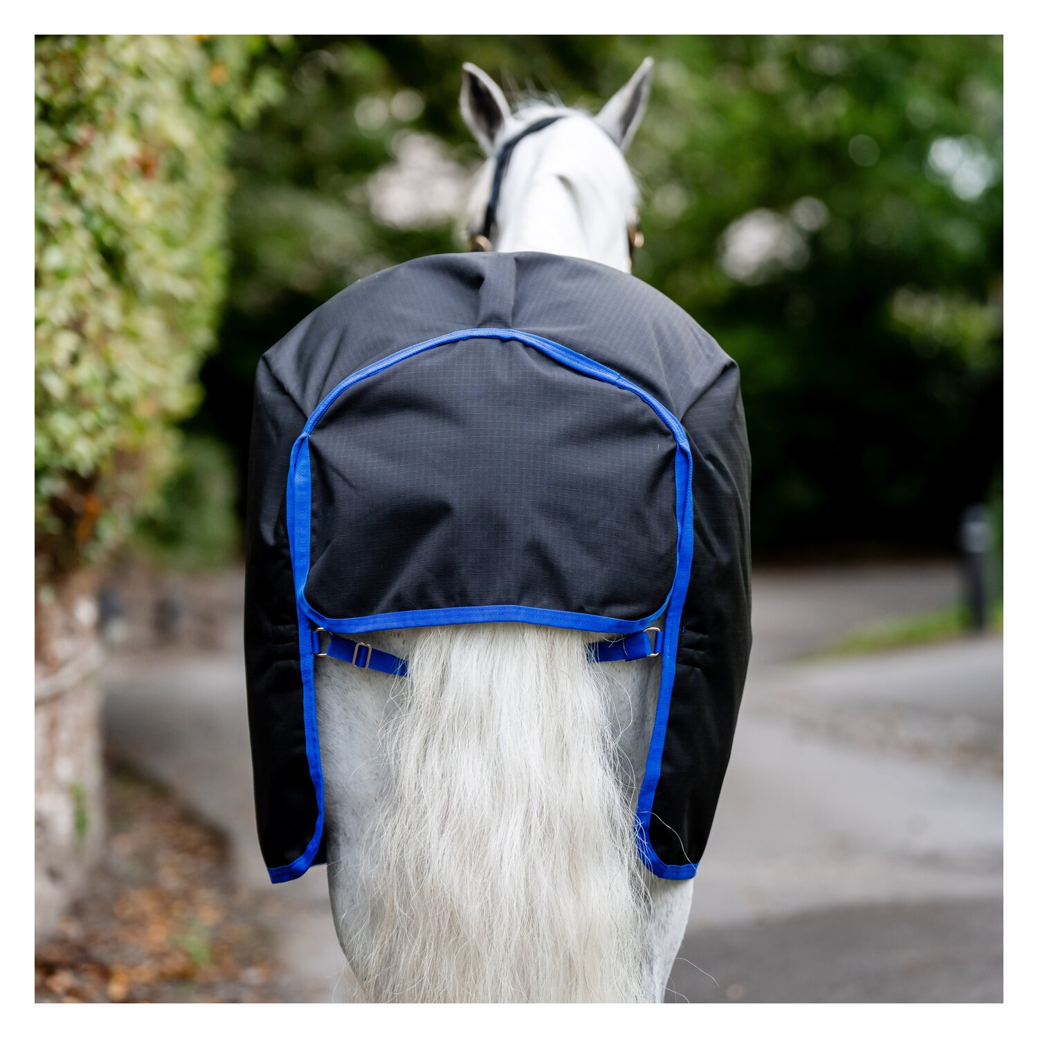HORSEWARE Weidedecke AMIGO Ripstop 900 Denier, 50g - black/classic blue