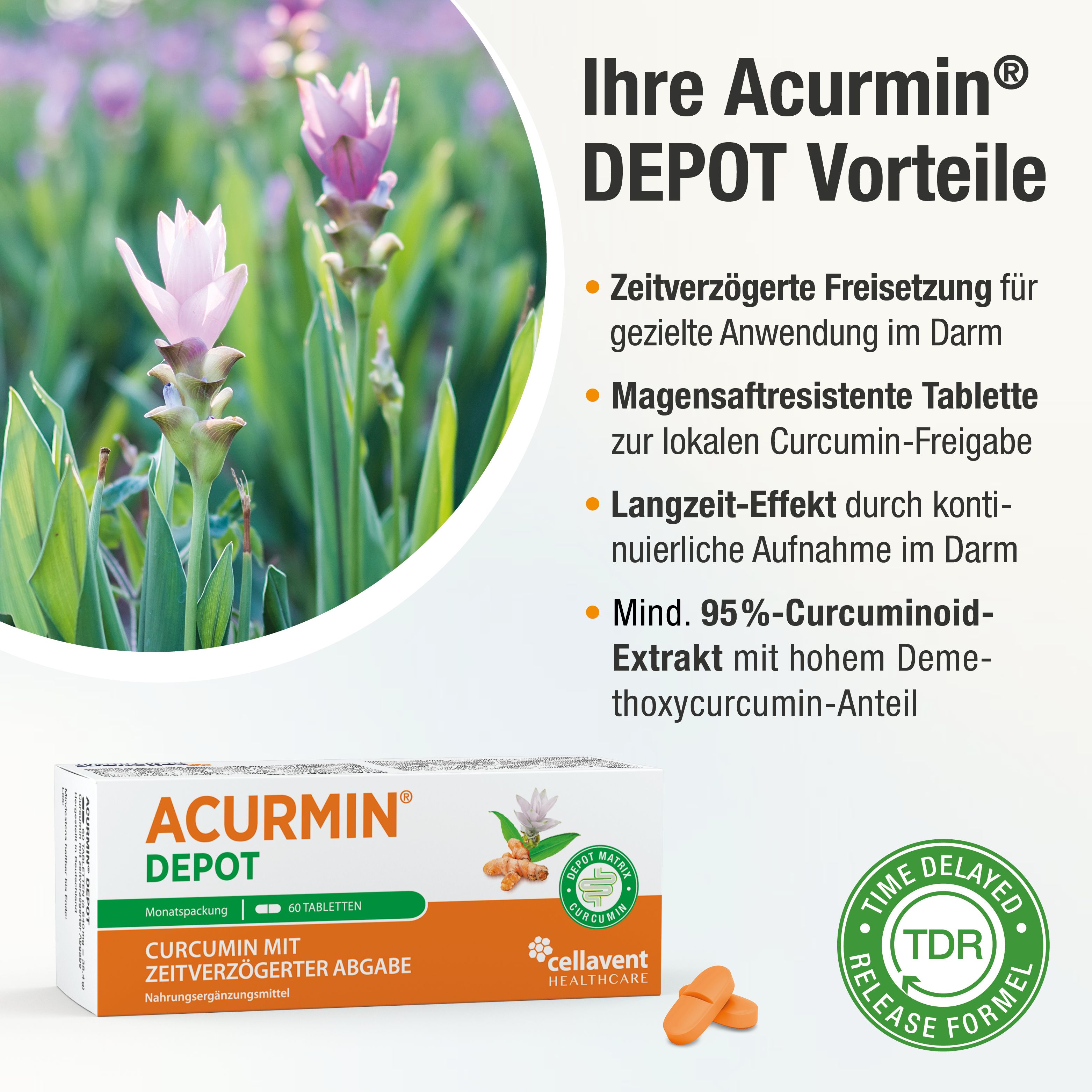 ACURMIN® DEPOT Curcumin mit zeitverzögerzter Abgabe-Acurmin DEPOT