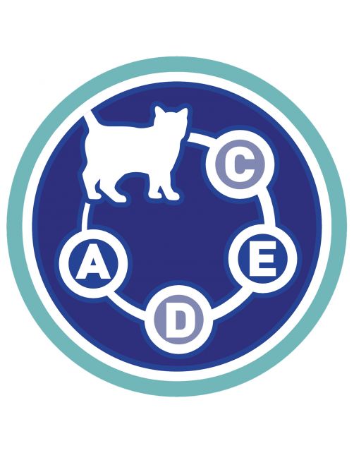 Purina One Senior - Kattenvoer