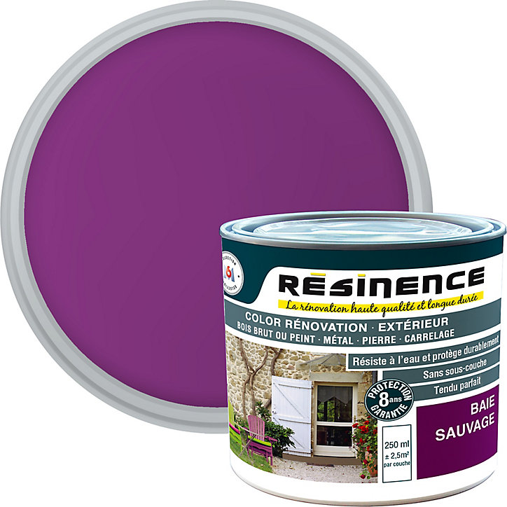 Résine de rénovation extérieur multi-support baie sauvage satin Résine extérieur nce 0,25L