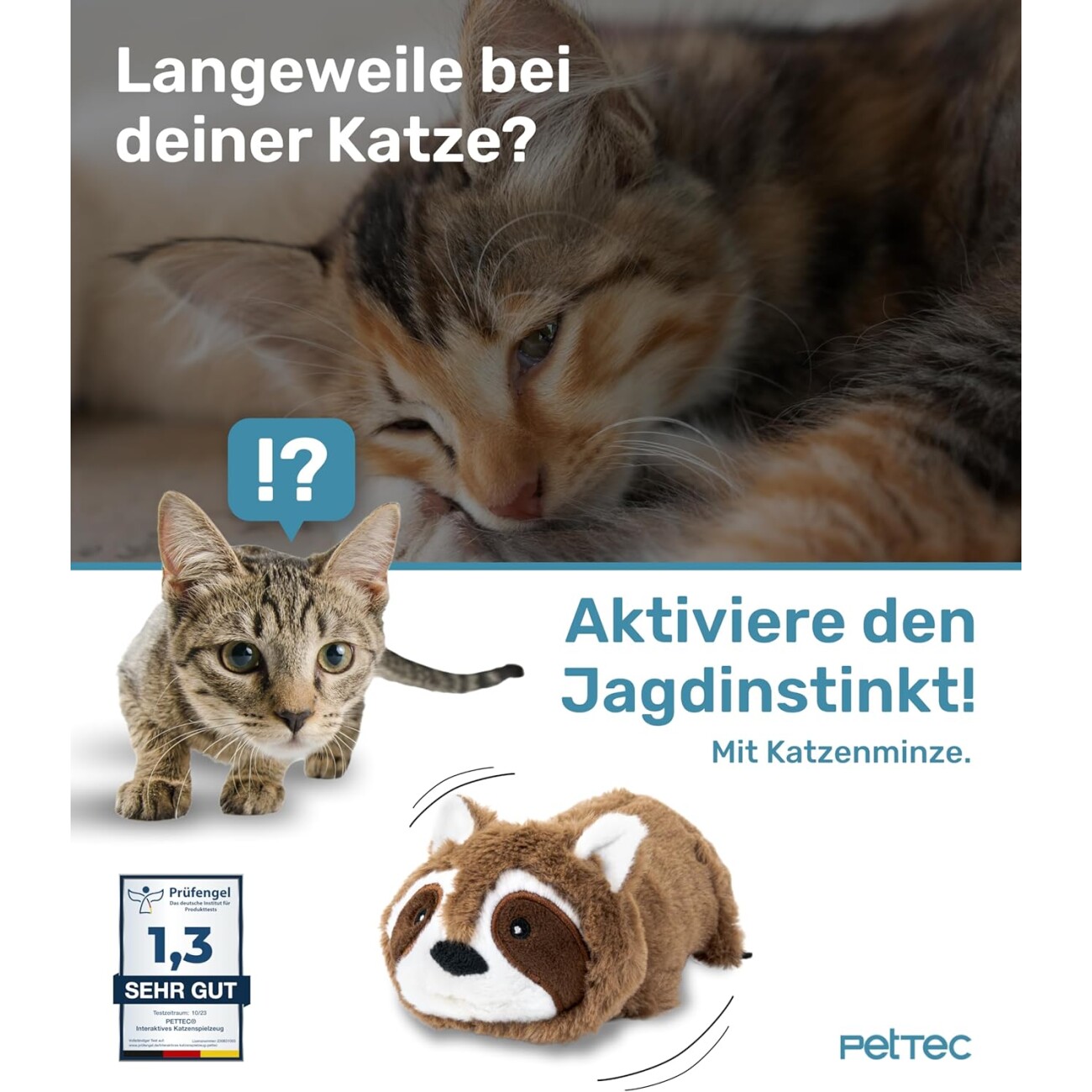 PetTec interaktives Plüschtier für Katzen - Waschbär