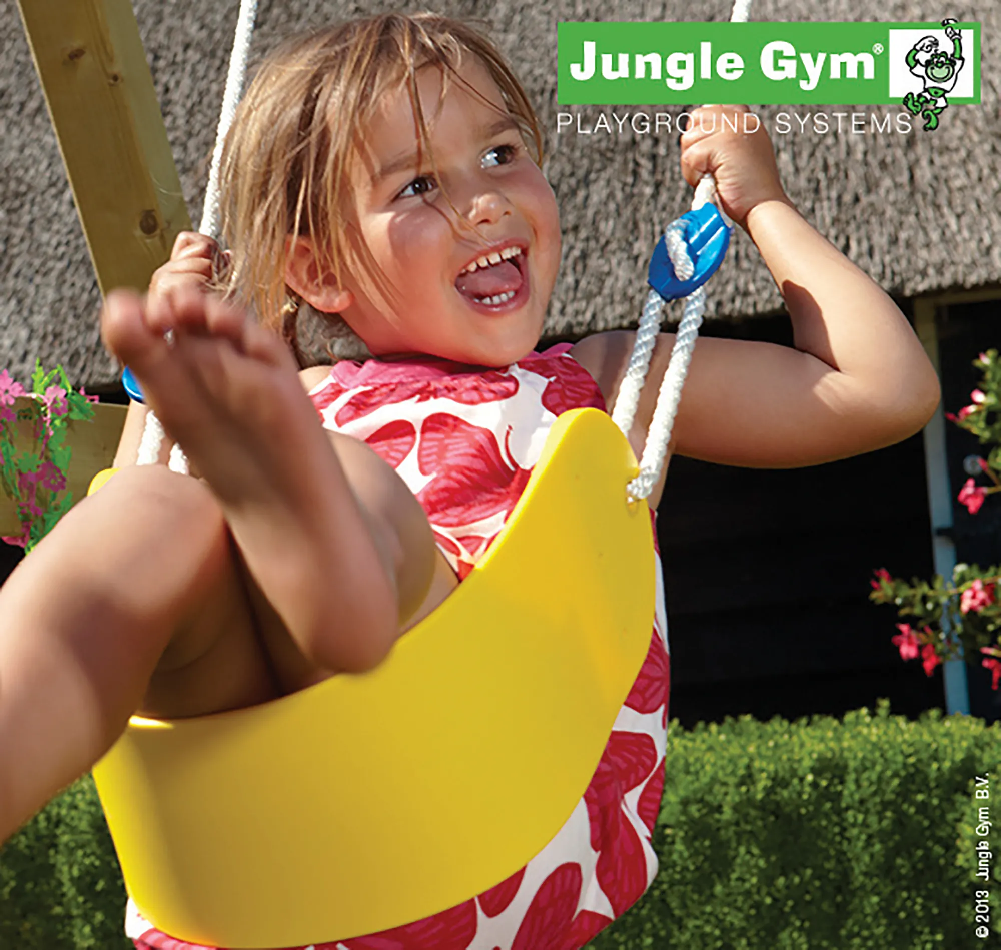 Jungle Gym Gynge