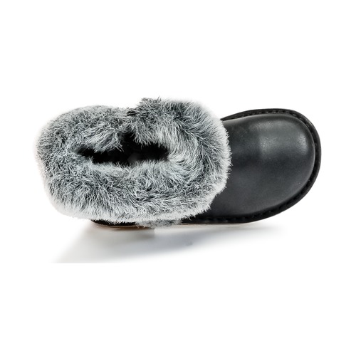Citrouille et Compagnie - HOSY - Noir