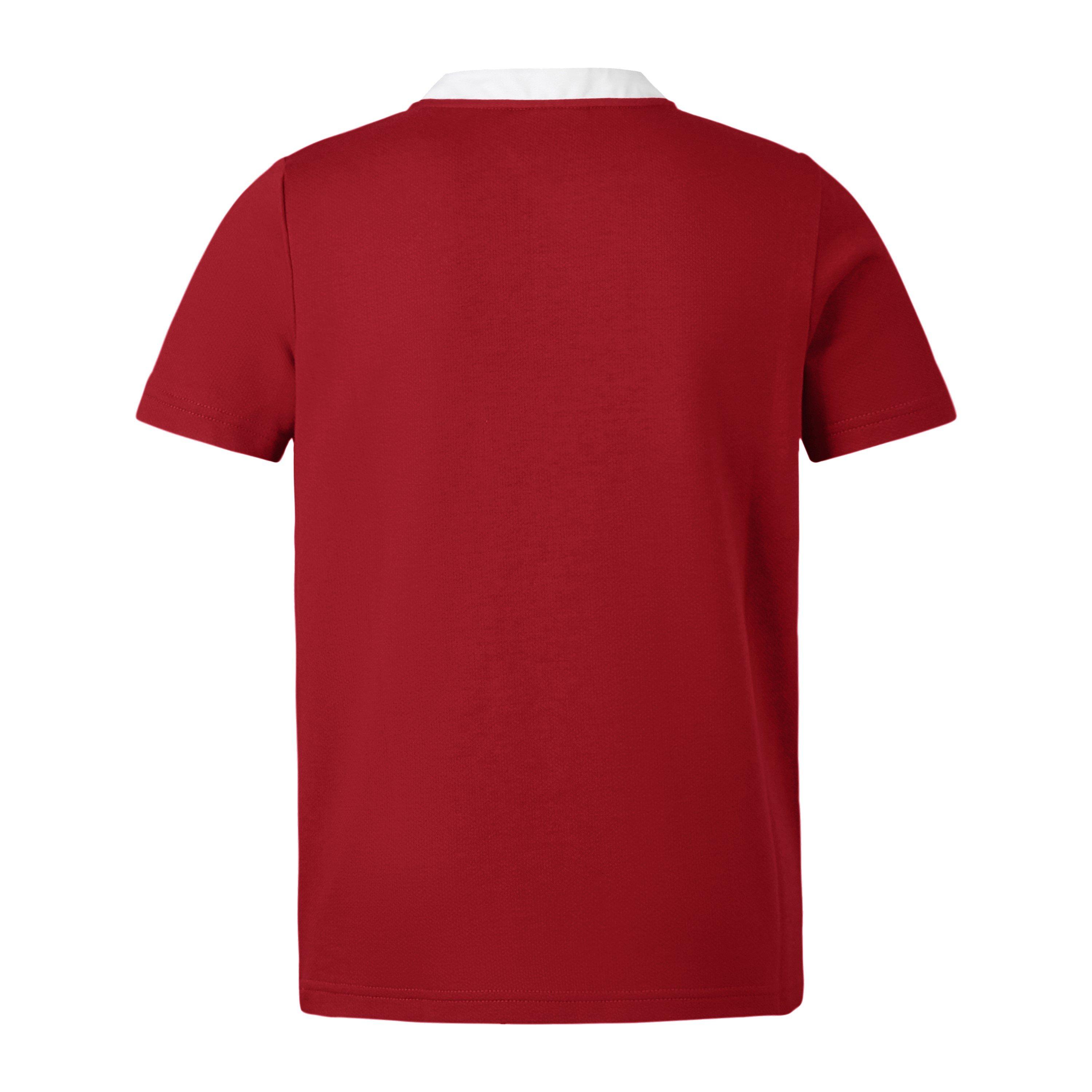 Canterbury British and Irish Lions Classic Shirt 2024 Adults