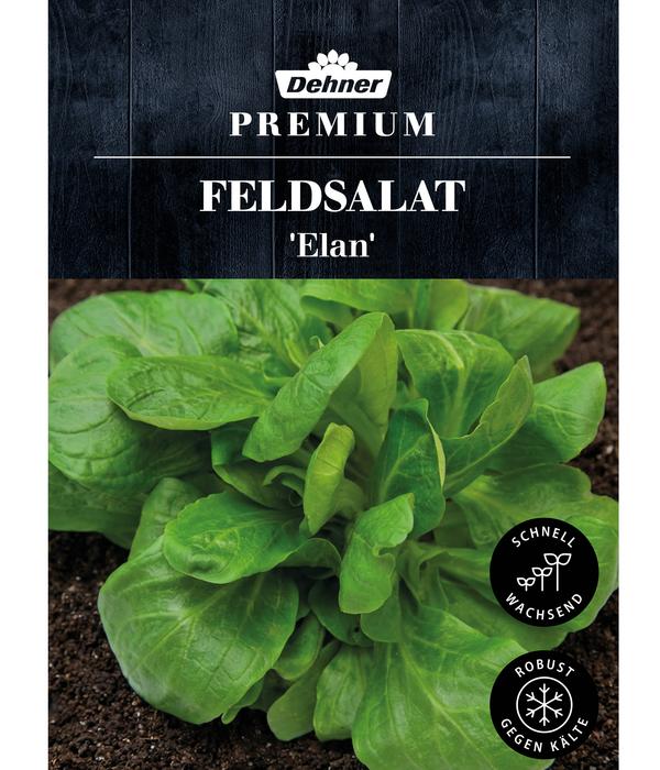 Dehner Premium Samen Feldsalat 'Elan'