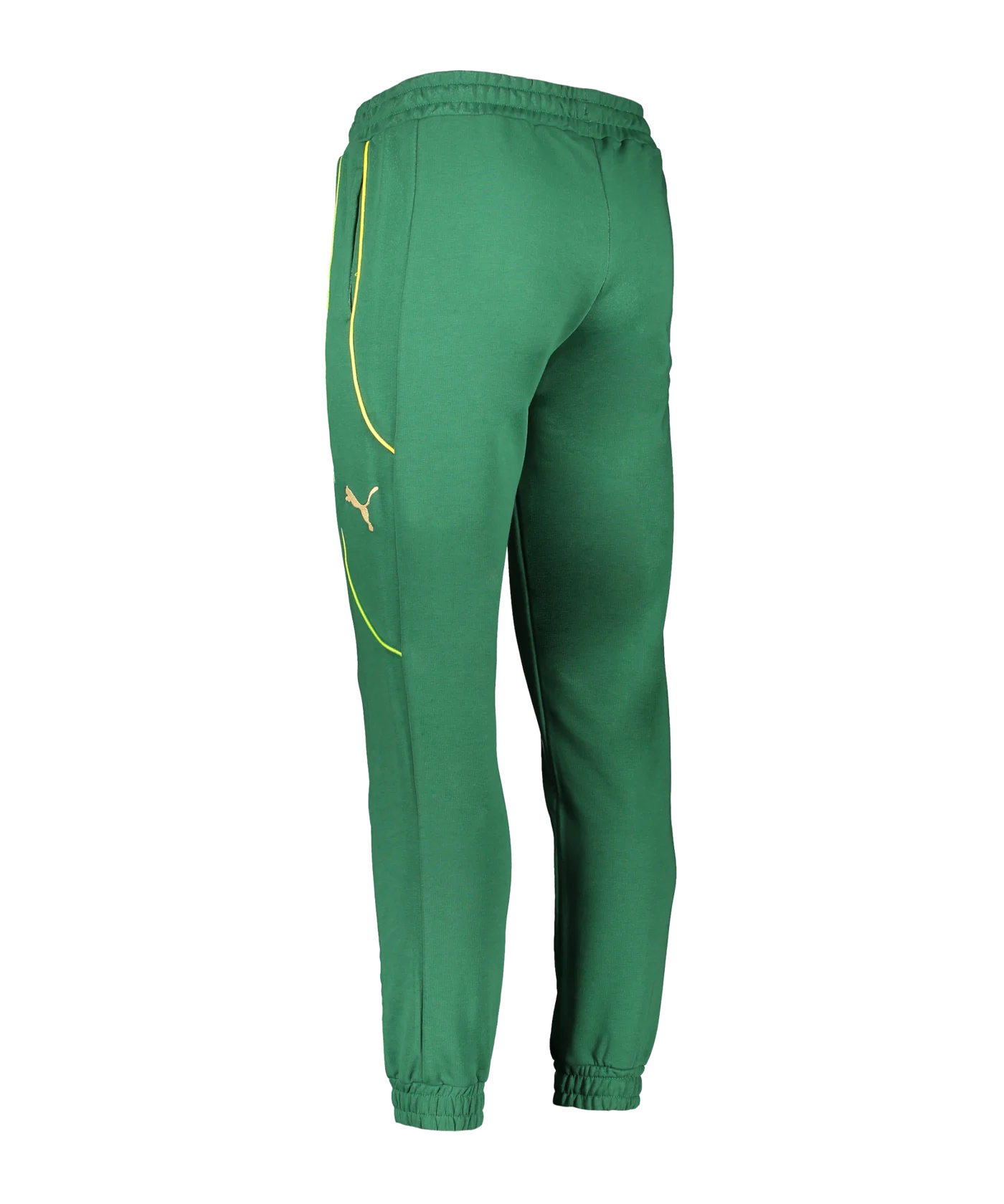 PUMA KING Pele Jogginghose Grün F12