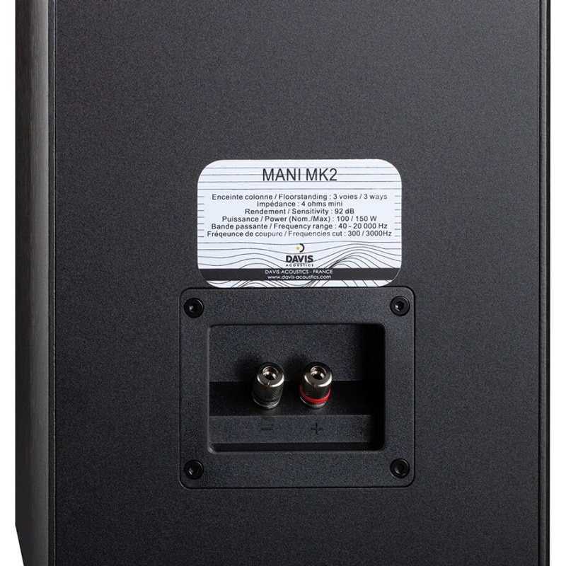 Enceinte colonne Davis Mani MK2 Noir (vendue a l'unité)