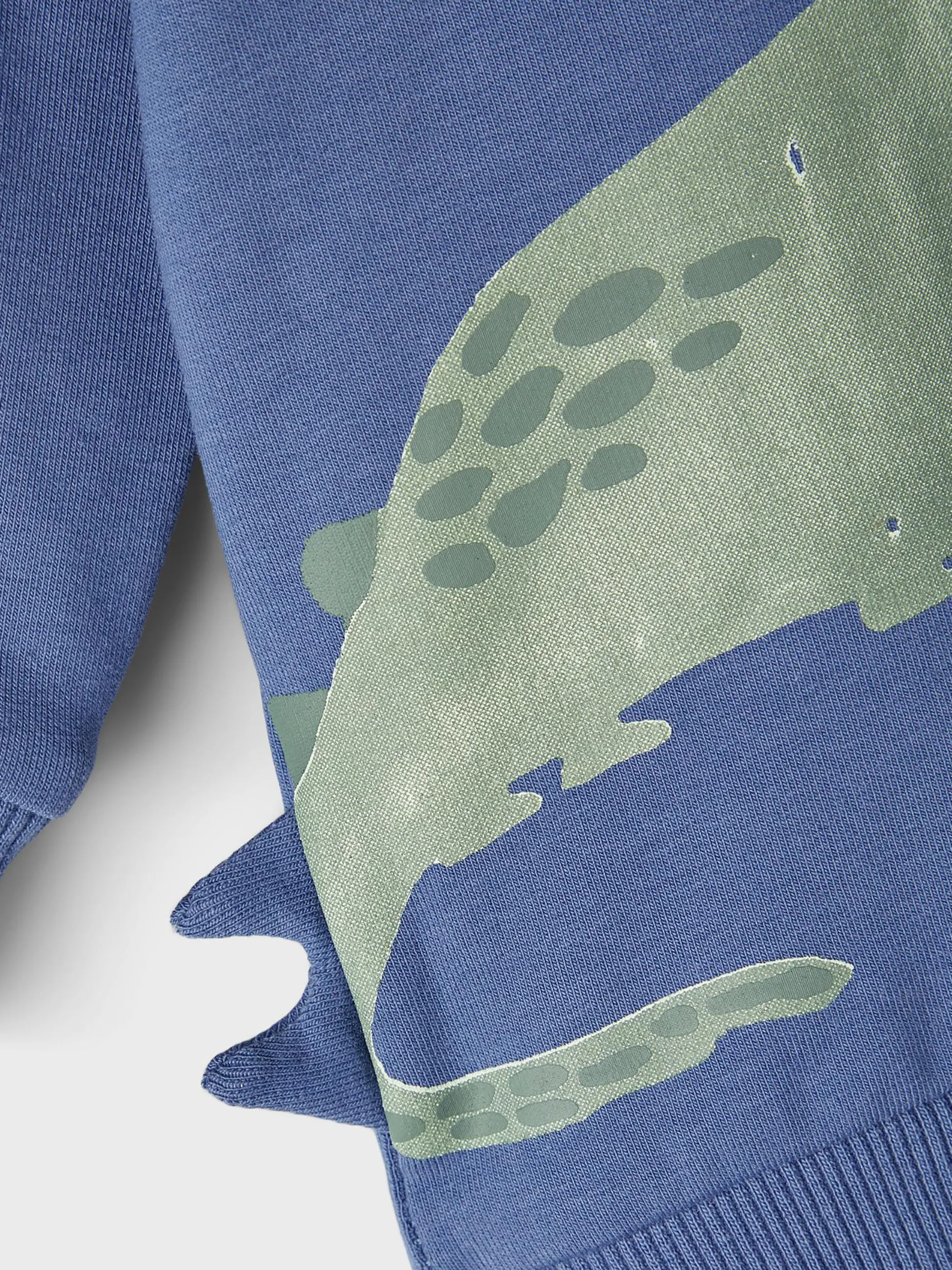 Jungen Sweatshirt mit Dinoprint