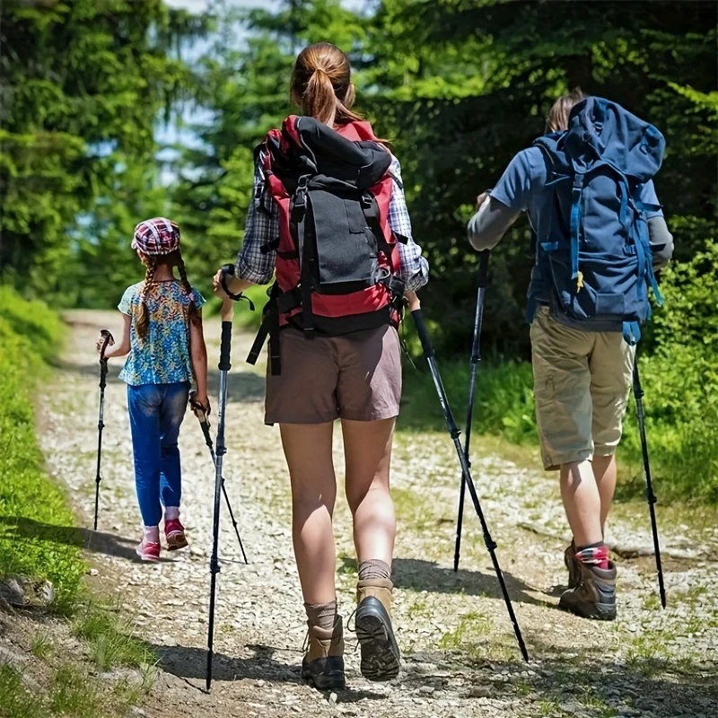(2er Set) Faltbarer Aluminium Trekking Wanderstock Nordic Walking Stock mit Gummi Puffer / Sommer- / Schnee Teller / Transporttasche - Grün