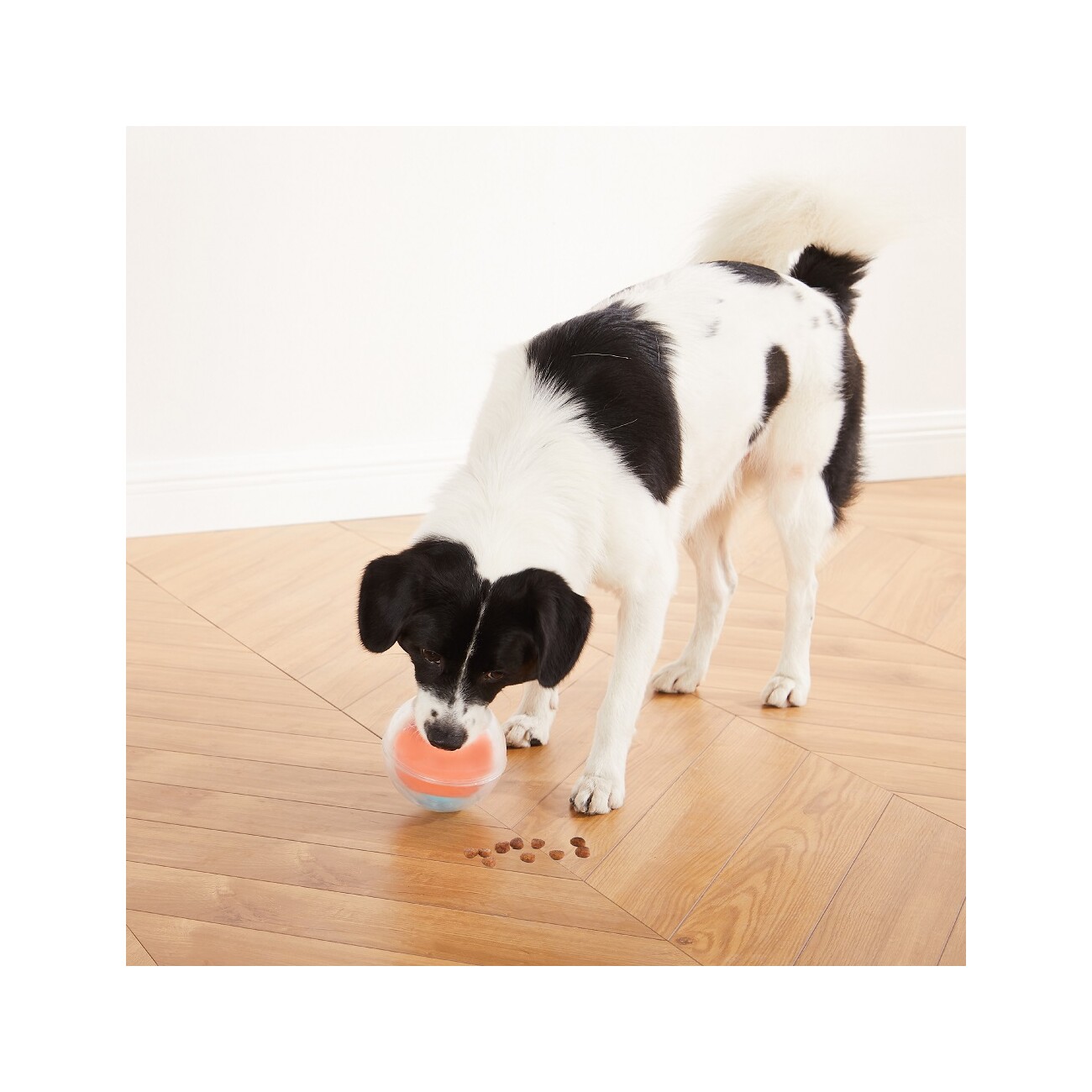 Nina Ottosson Topsy Treat Ball Intelligenzspielzeug