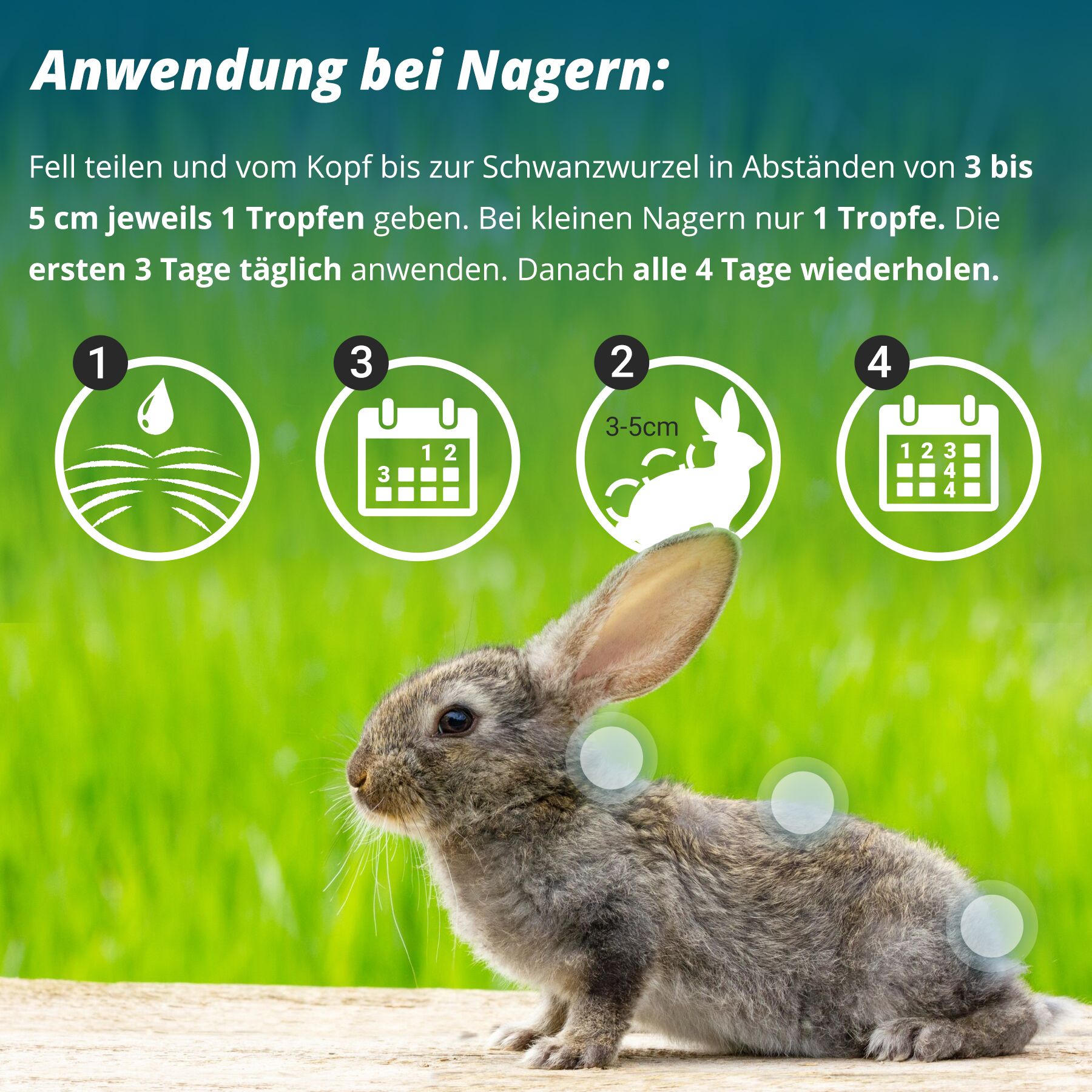 Marsavet Spot-On Zecken- und Flohschutz für Hunde, Katzen, Nager & Vögel