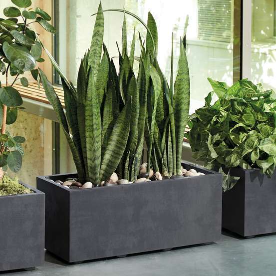 Muret Millenium à réserve d'eau en plastique Anthracite 59x25xH.25cm