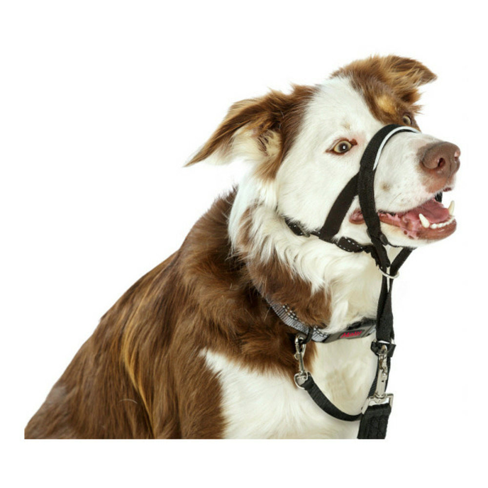 Collier d'entraînement pour chiens halti noir muselière (40-54 cm)