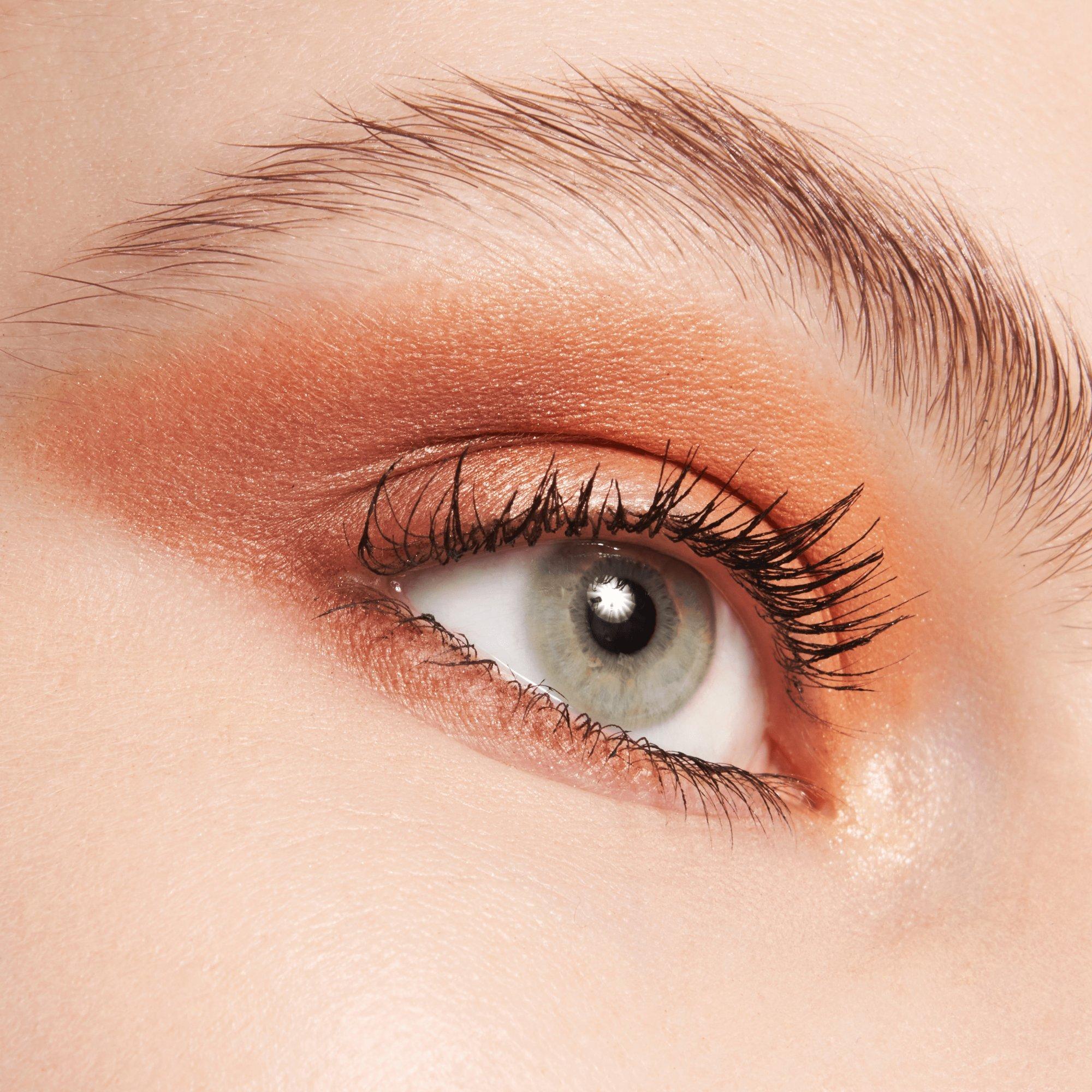 the BROWN edition palette fard à paupières