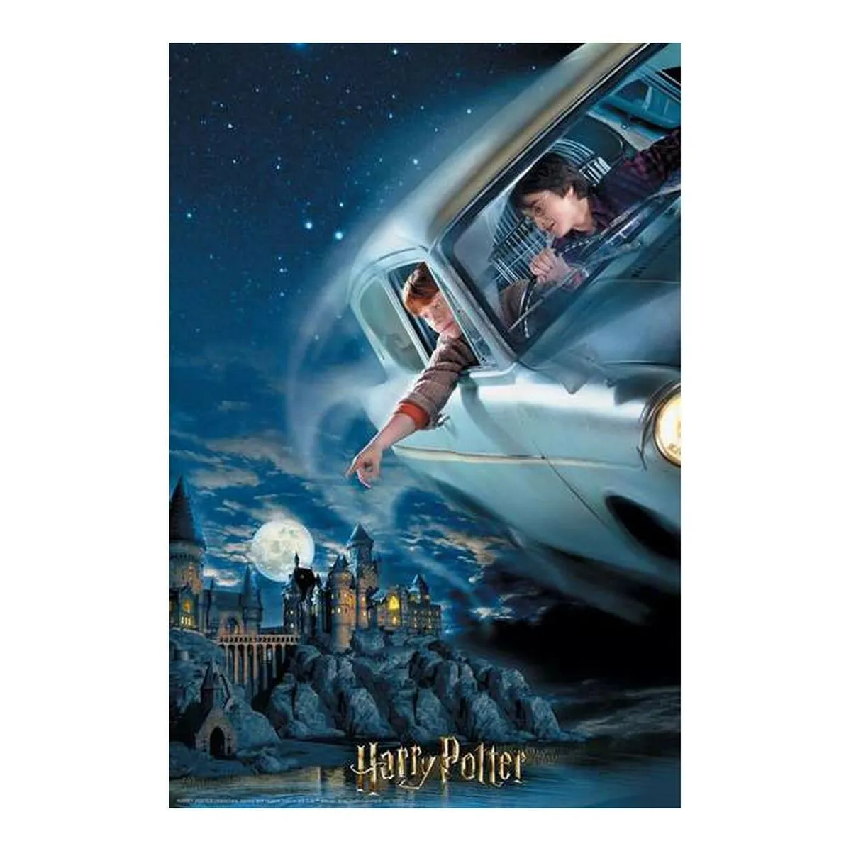 HARRY POTTER Puzzle 3D Harry Potter & Ron
