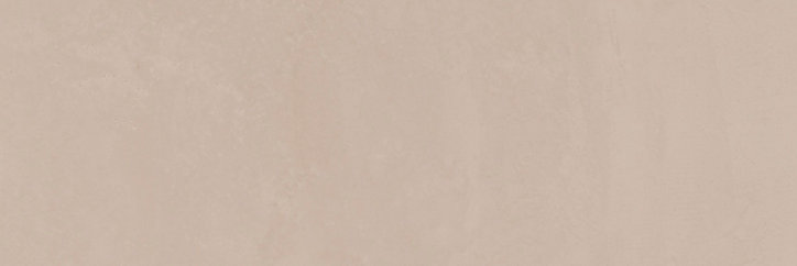 Carrelage mural naturel Terre 25 x 75 cm