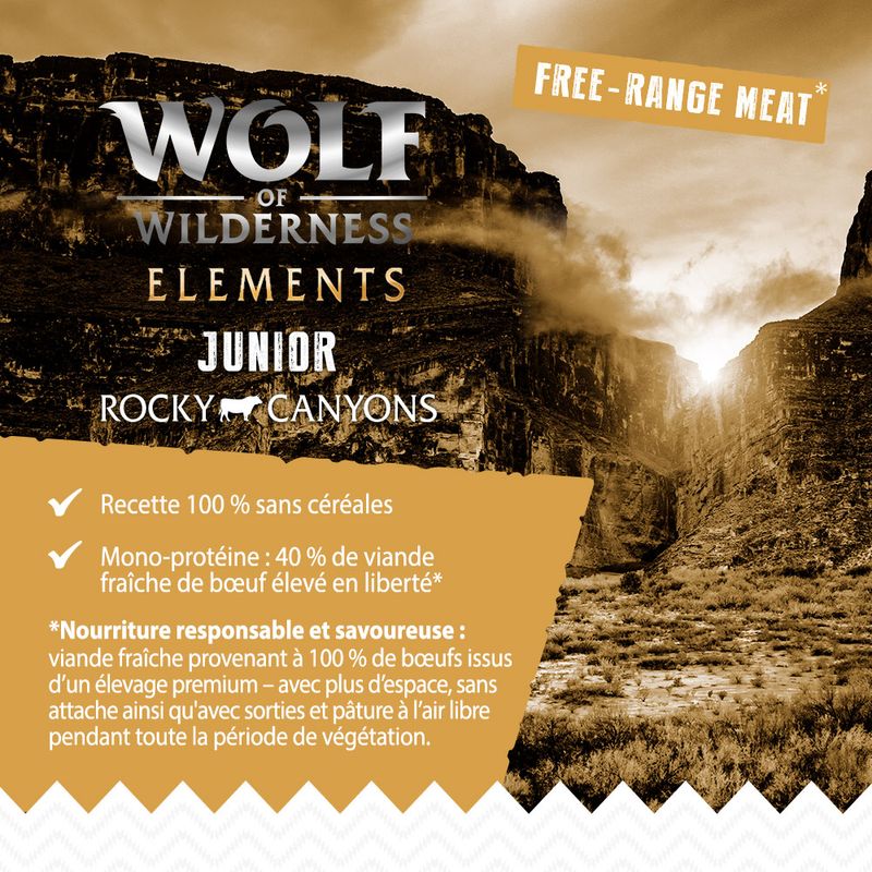Wolf of Wilderness JUNIOR Rocky Canyons bœuf élevé en liberté sans céréales