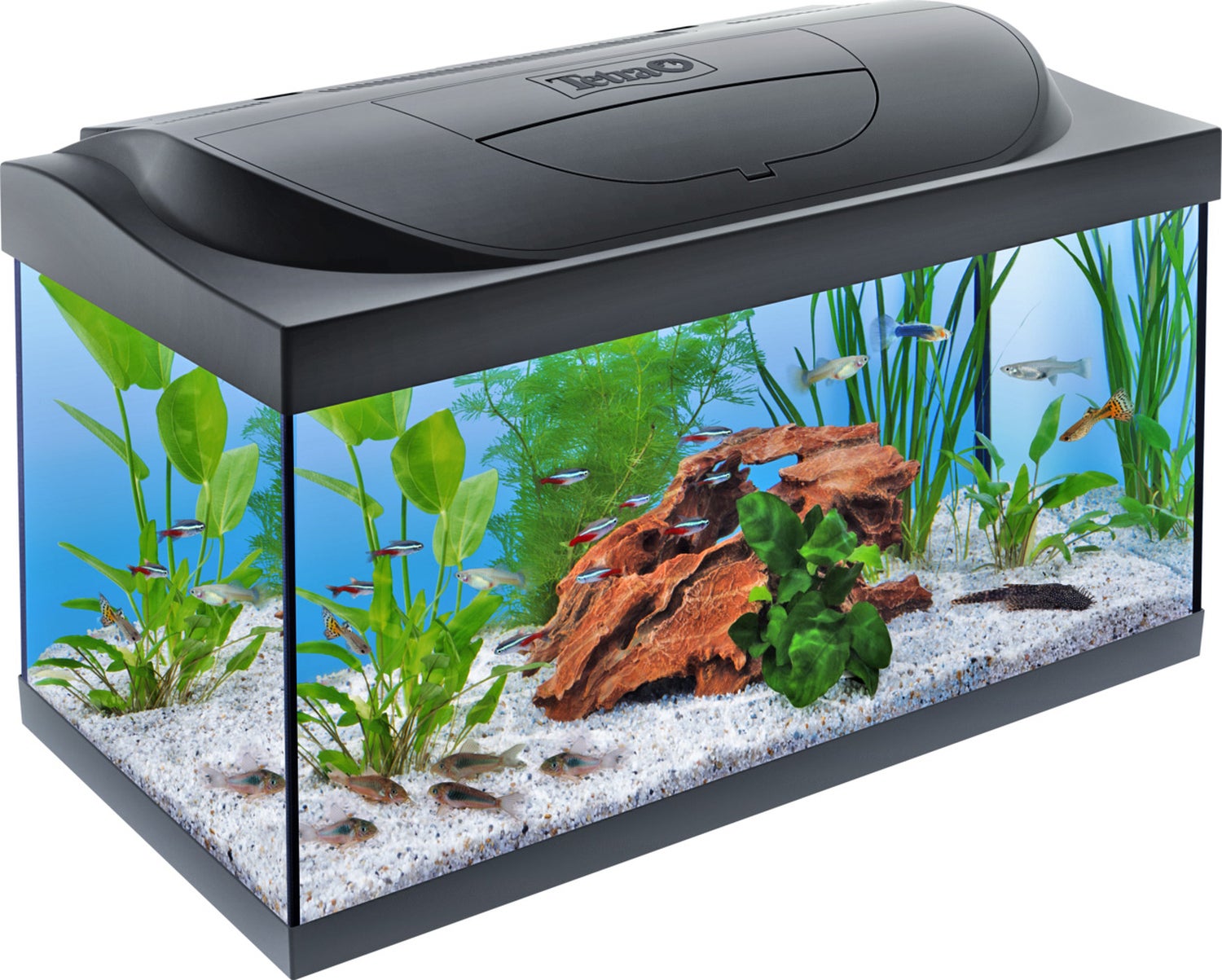 Tetra aquarium Starter zwart 54 L